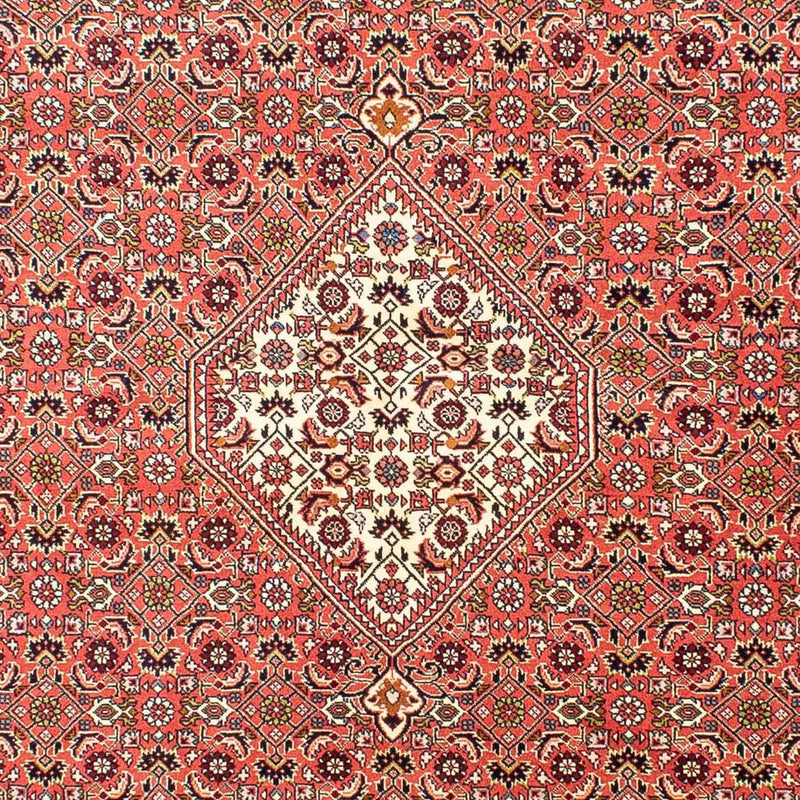 Tapis persan - Bidjar - 252 x 173 cm - rouge clair