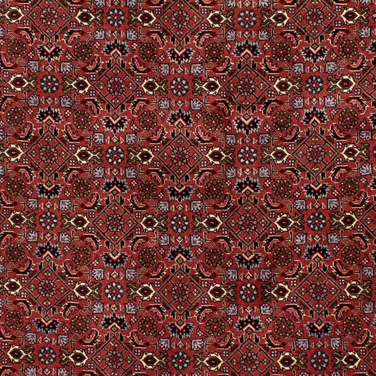 Tapis persan - Bidjar - 205 x 136 cm - rouge foncé