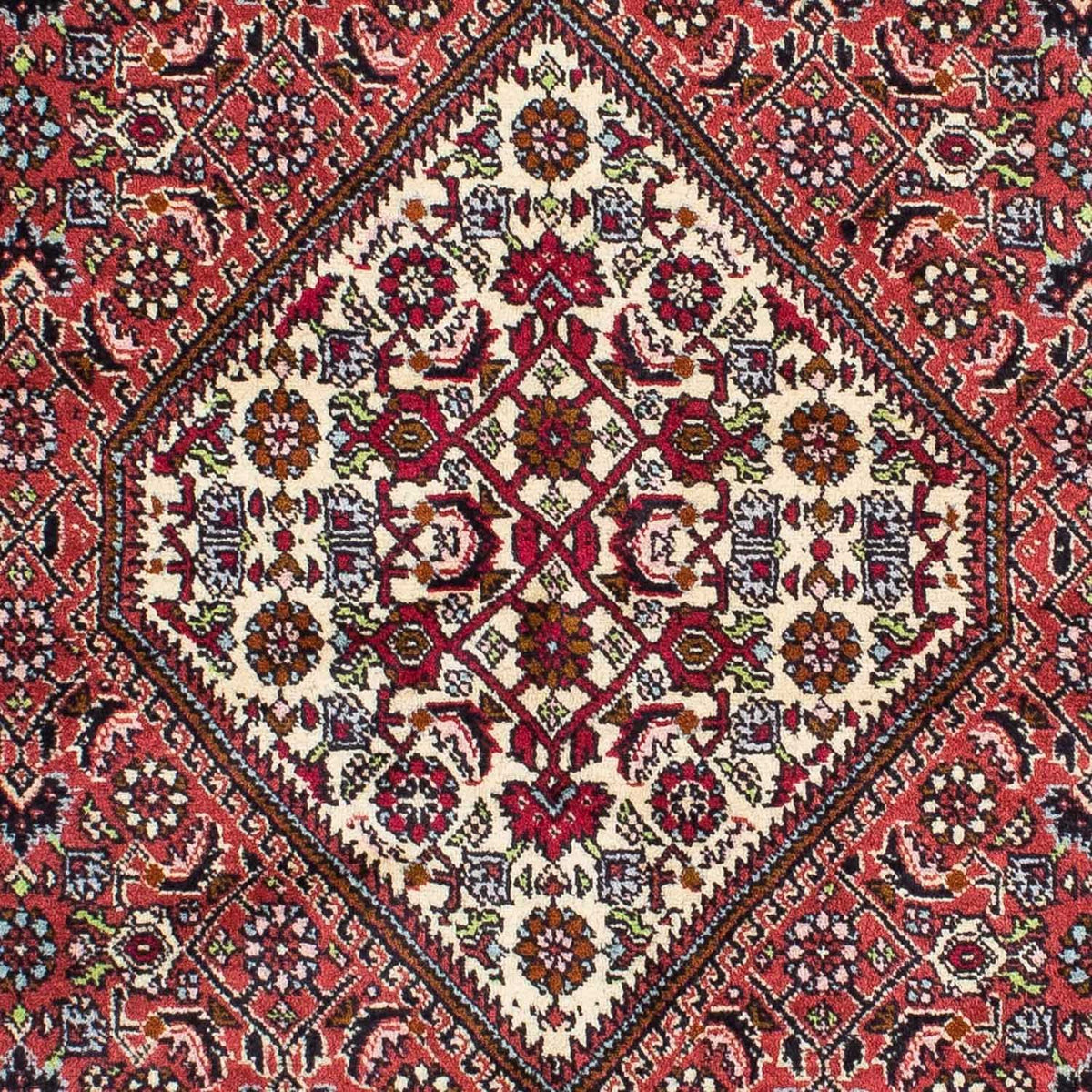Tapis persan - Bidjar - 222 x 138 cm - rouge