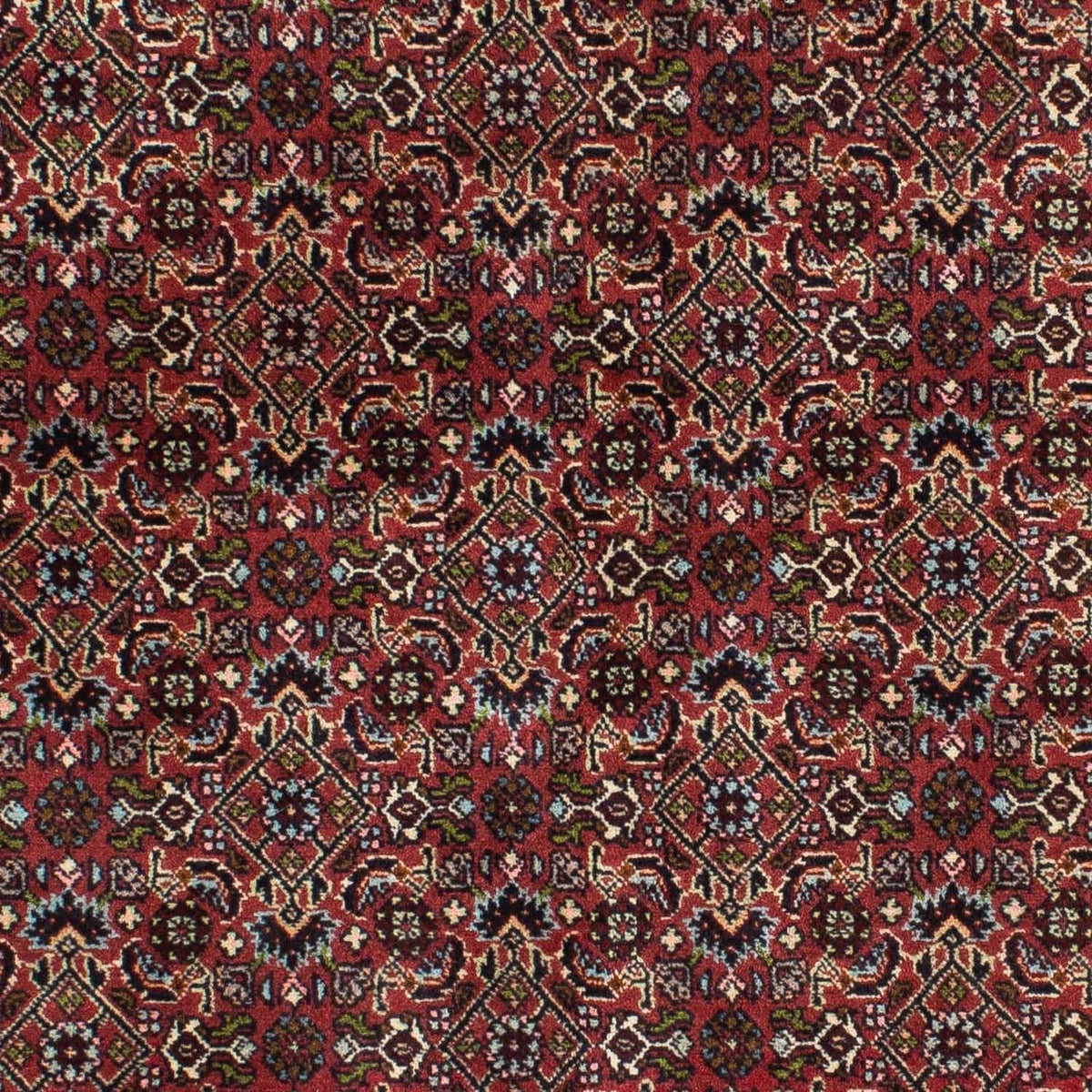 Tapis persan - Bidjar - 205 x 141 cm - rouge