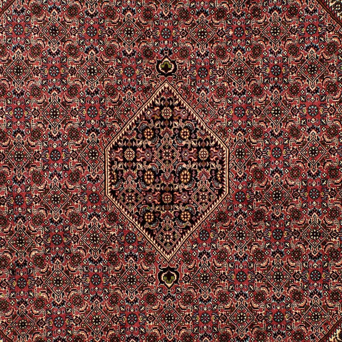 Tapis persan - Bidjar - 291 x 201 cm - rouge clair
