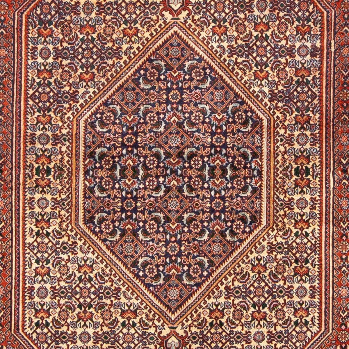 Tapis persan - Bidjar - 240 x 138 cm - marron