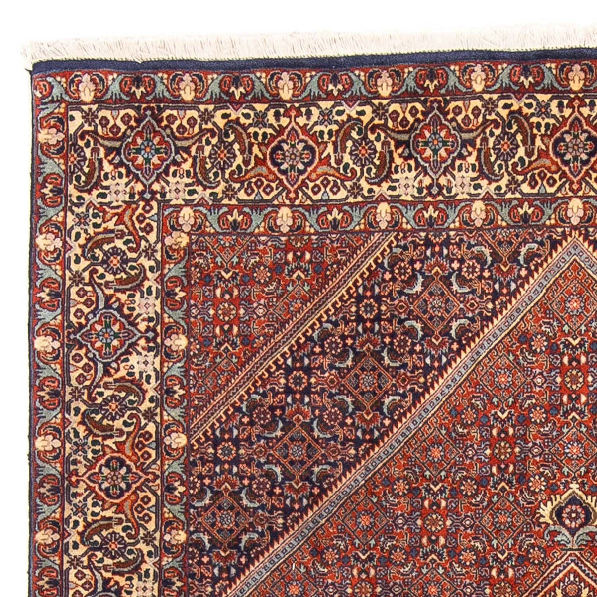 Tapis persan - Bidjar - 240 x 138 cm - marron