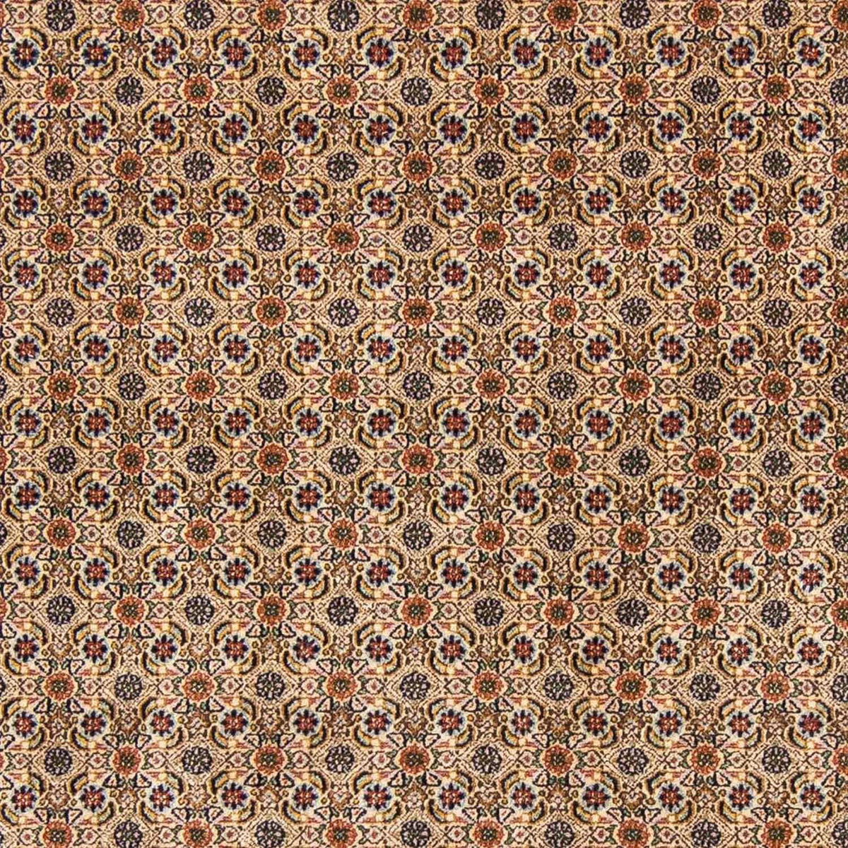 Tapis persan - Classique - 298 x 200 cm - beige