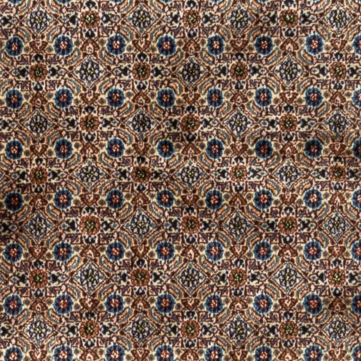 Tapis persan - Classique - 251 x 160 cm - marron clair