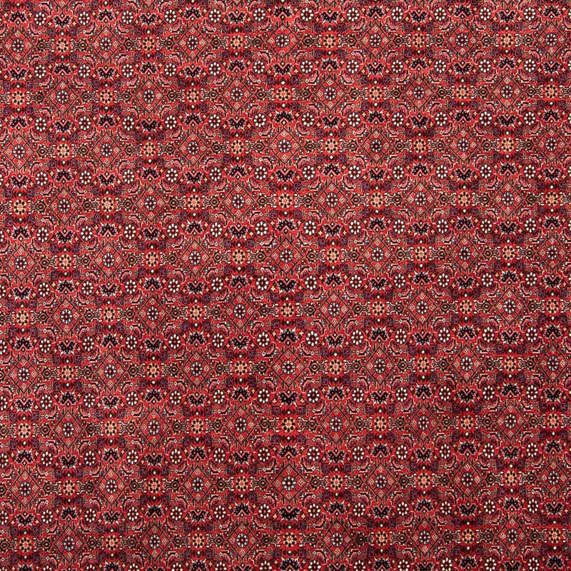 Tapis persan - Bidjar - 296 x 250 cm - rouge foncé