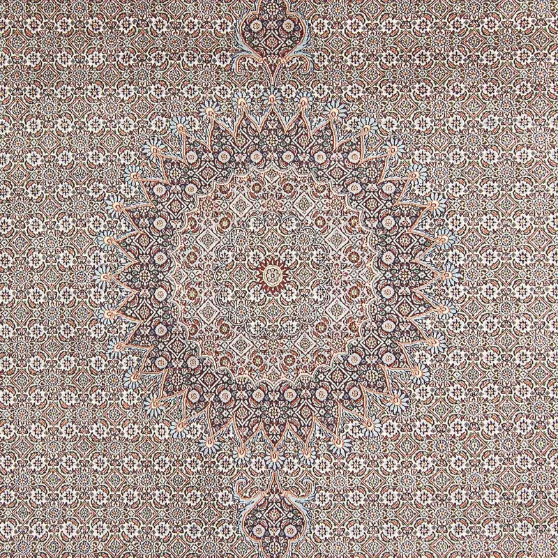 Tapis persan - Classique - 342 x 246 cm - marron clair