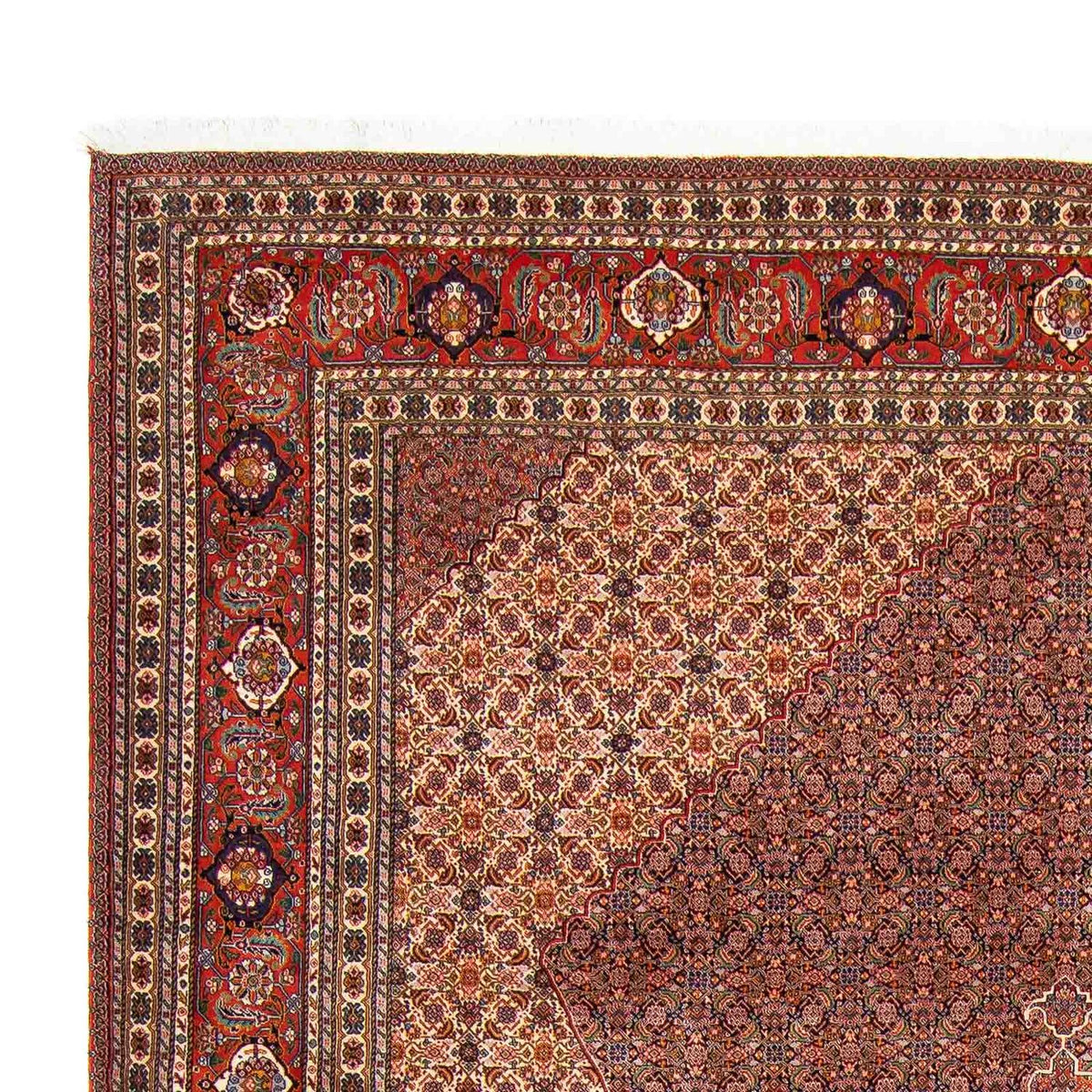Tapis persan - Nomadic - 352 x 265 cm - marron