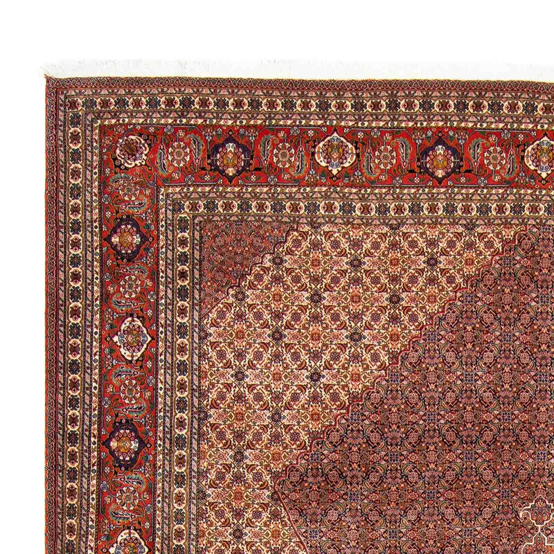 Tapis persan - Nomadic - 352 x 265 cm - marron