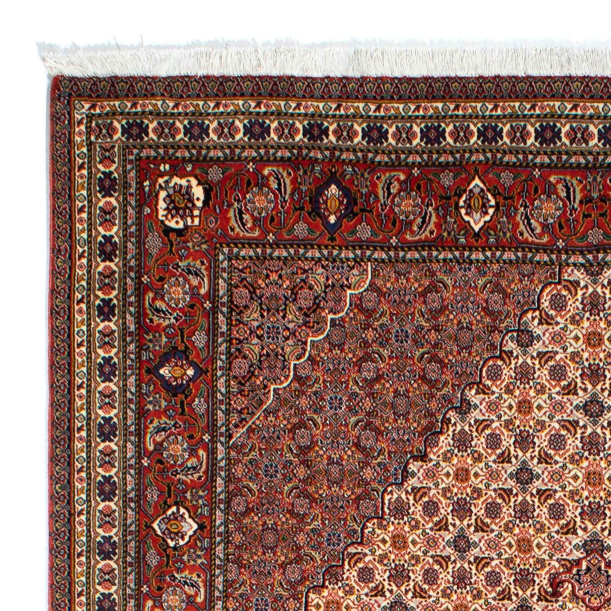 Tapis persan - Nomadic - 262 x 167 cm - marron