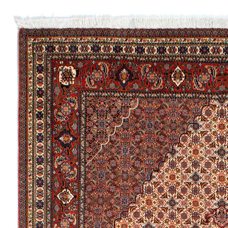 Tapis persan - Nomadic - 262 x 167 cm - marron