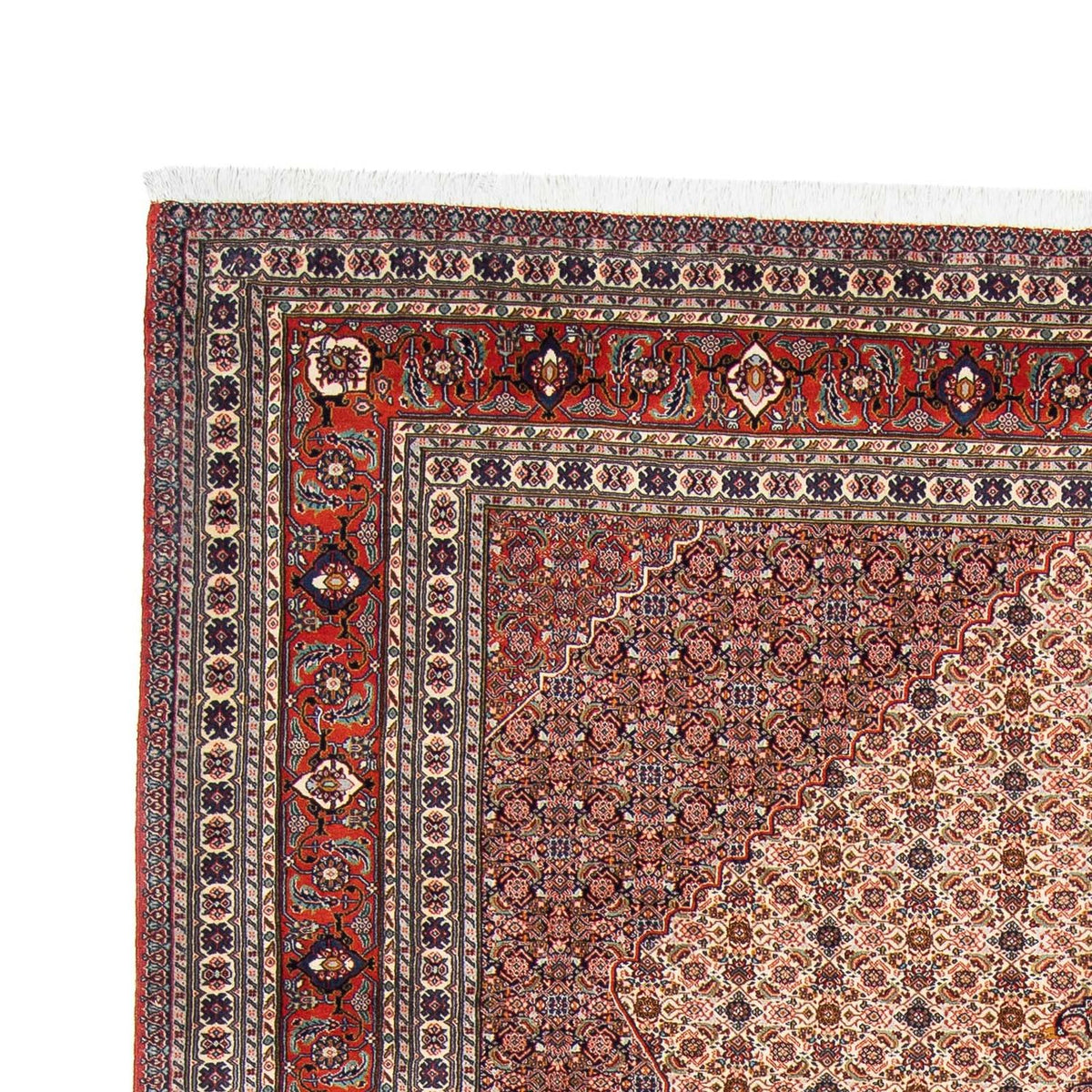 Tapis persan - Nomadic - 313 x 212 cm - marron clair