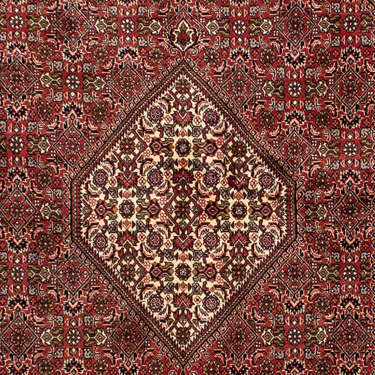 Tapis persan - Bidjar - 235 x 140 cm - rouge clair