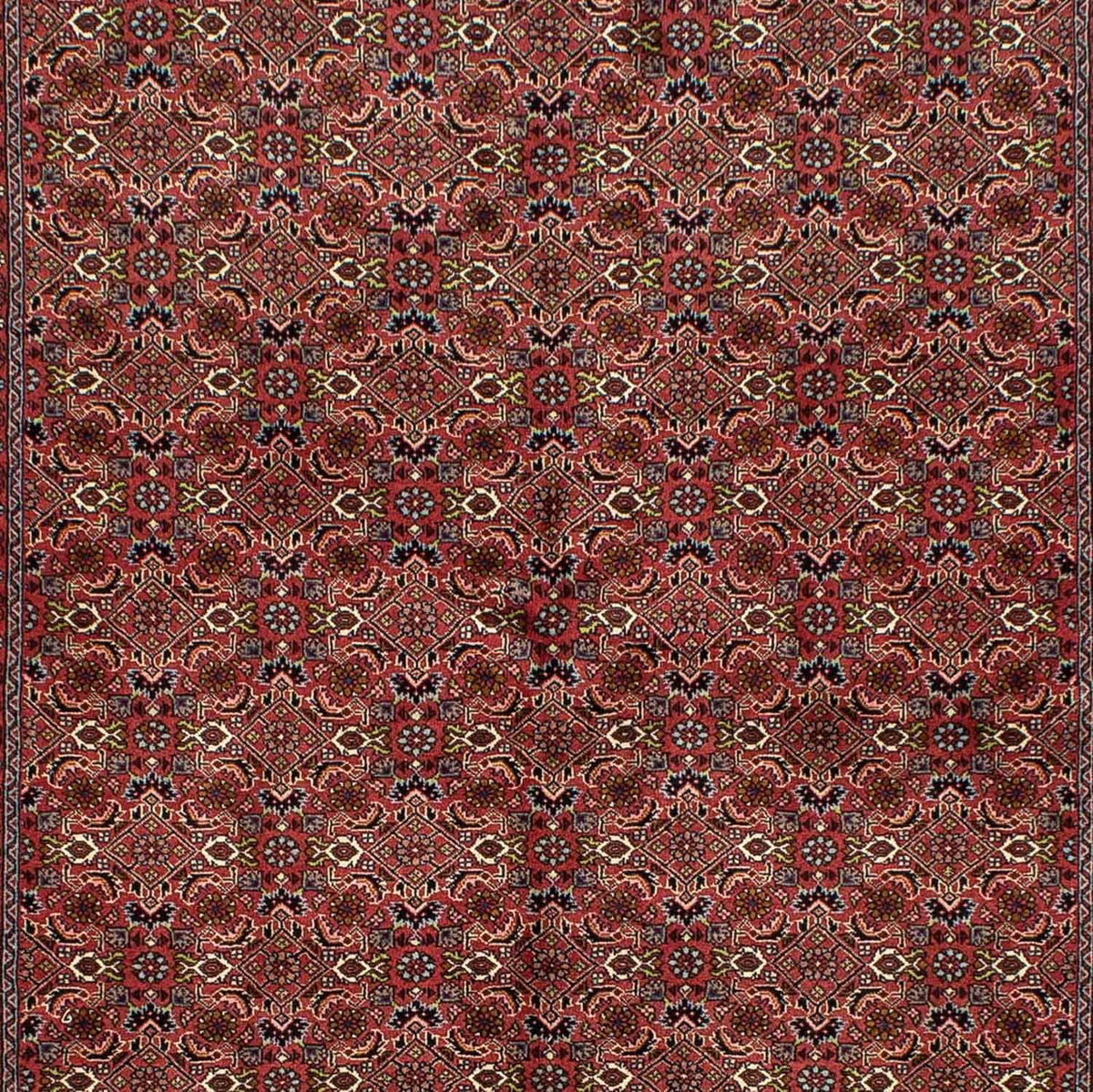 Tapis persan - Bidjar - 246 x 170 cm - rouge foncé