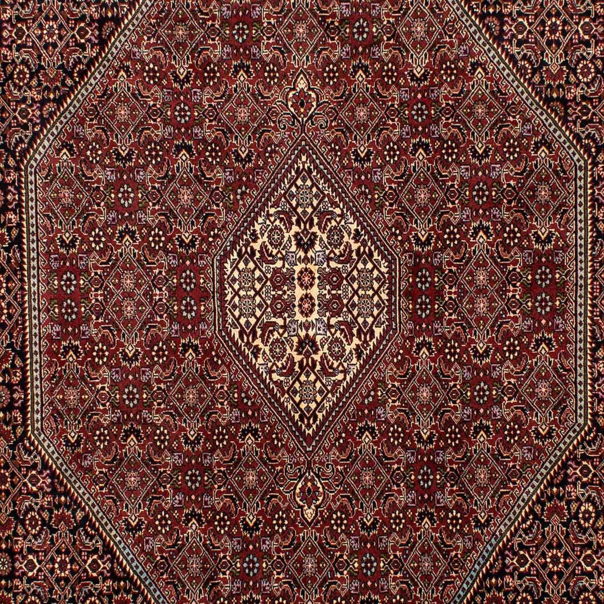 Tapis persan - Bidjar - 283 x 199 cm - marron