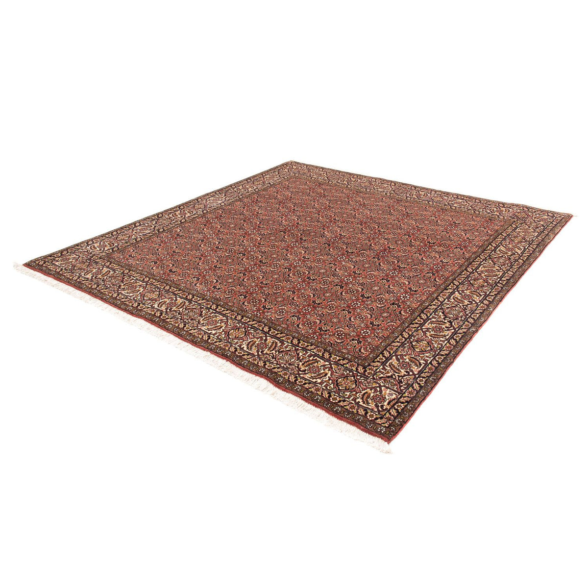 Tapis persan - Bidjar carré  - 200 x 195 cm - rouge clair