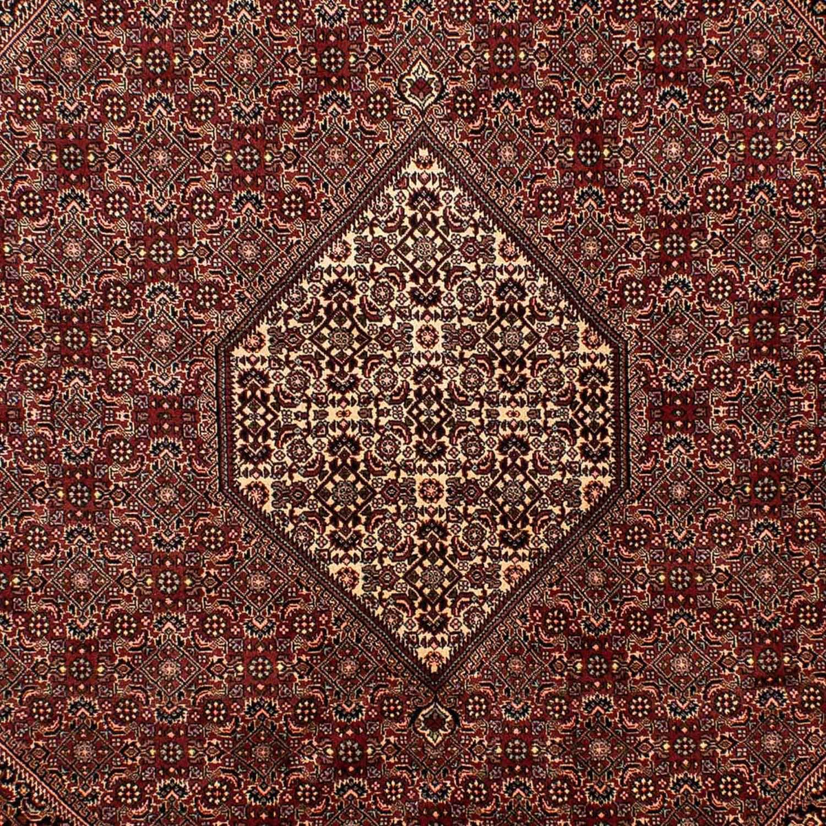 Tapis persan - Bidjar - 284 x 199 cm - marron