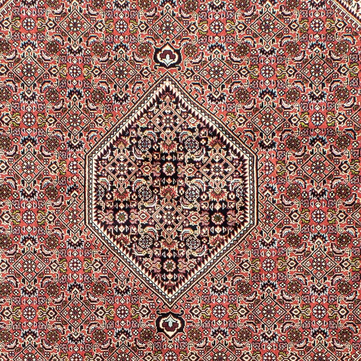 Tapis persan - Bidjar - 250 x 168 cm - rouge clair