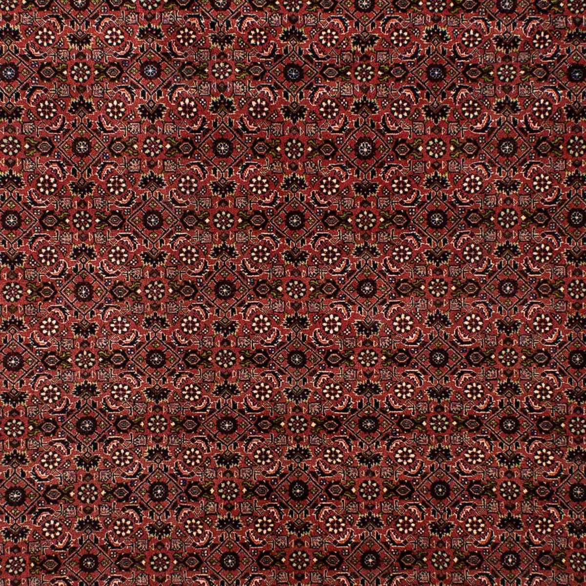 Tapis persan - Bidjar - 295 x 196 cm - rouge foncé