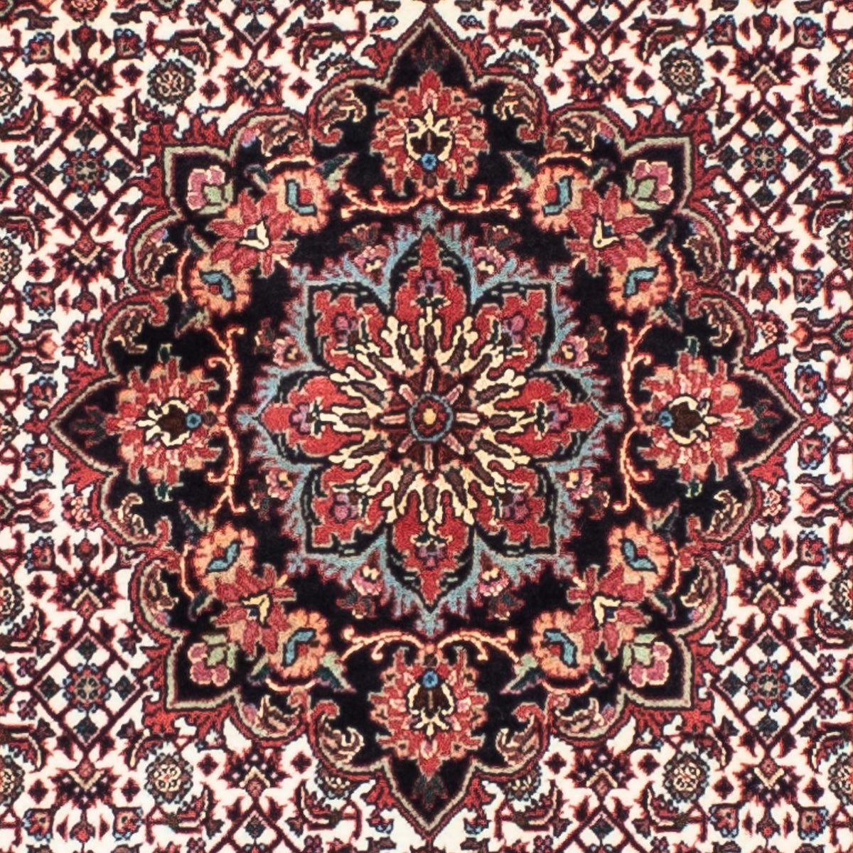 Tapis de couloir Tapis persan - Bidjar - 240 x 70 cm - beige