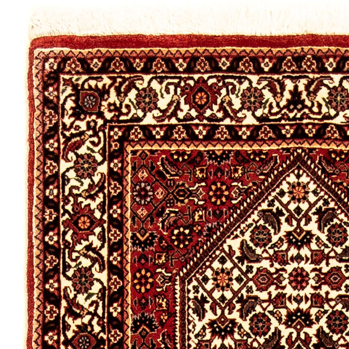 Tapis de couloir Tapis persan - Bidjar - 247 x 73 cm - multicolore