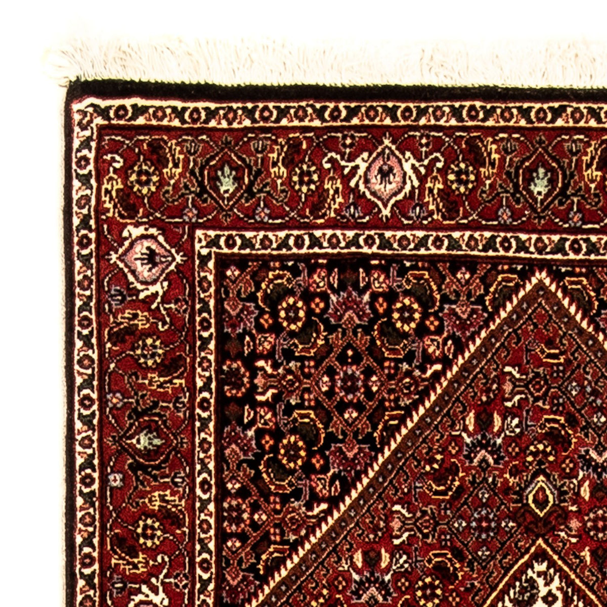 Tapis de couloir Tapis persan - Bidjar - 221 x 73 cm - multicolore