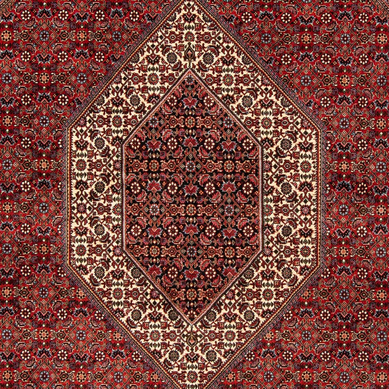 Tapis persan - Bidjar - 244 x 200 cm - rouge foncé