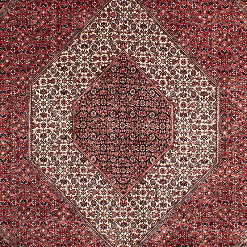Tapis persan - Bidjar - 302 x 204 cm - rouge clair