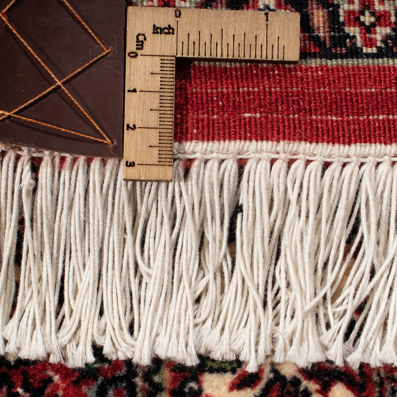 Tapis persan - Bidjar - 302 x 204 cm - rouge clair