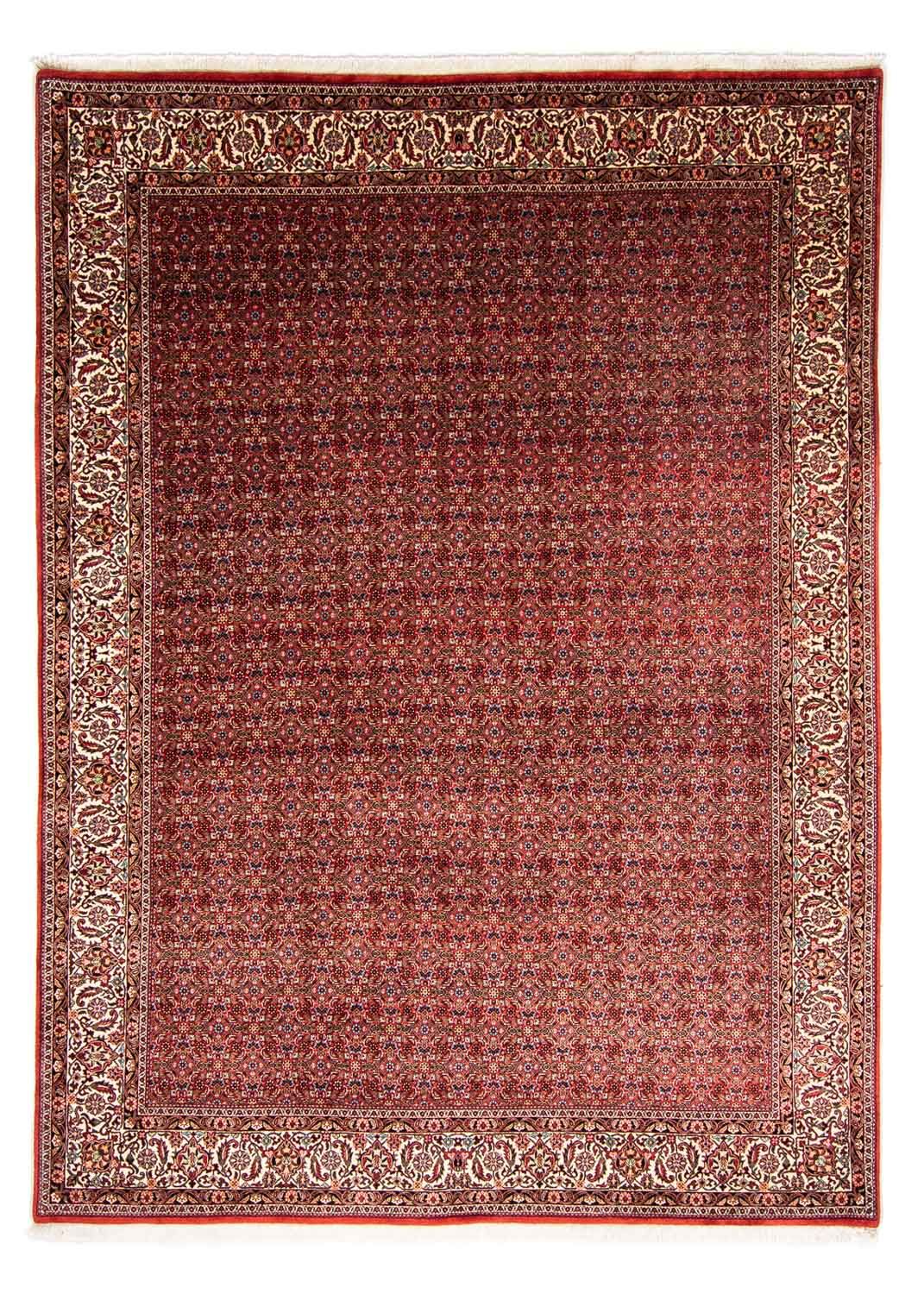 Tapis persan - Bidjar - 350 x 250 cm - rouge foncé