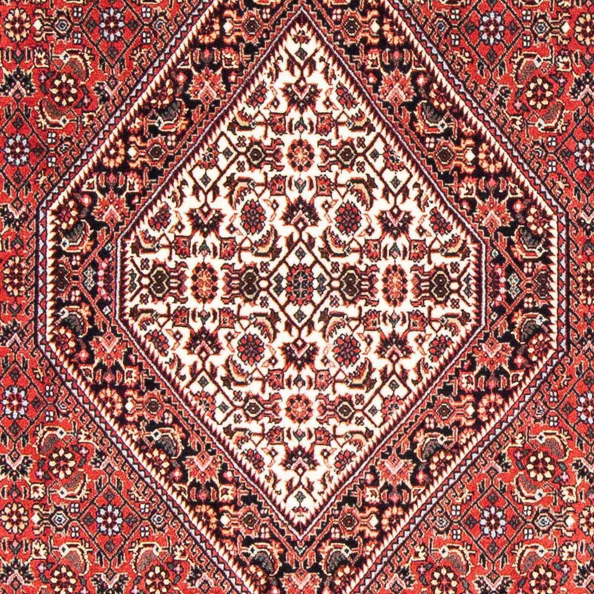 Tapis persan - Bidjar - 175 x 108 cm - rouge