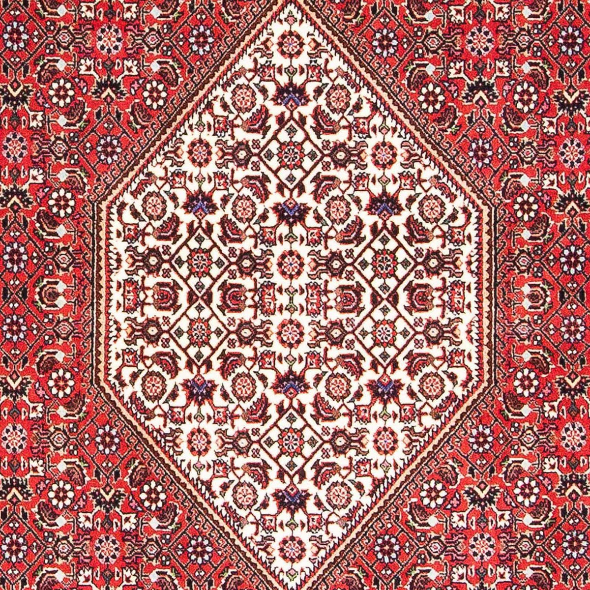 Tapis persan - Bidjar - 175 x 108 cm - rouge