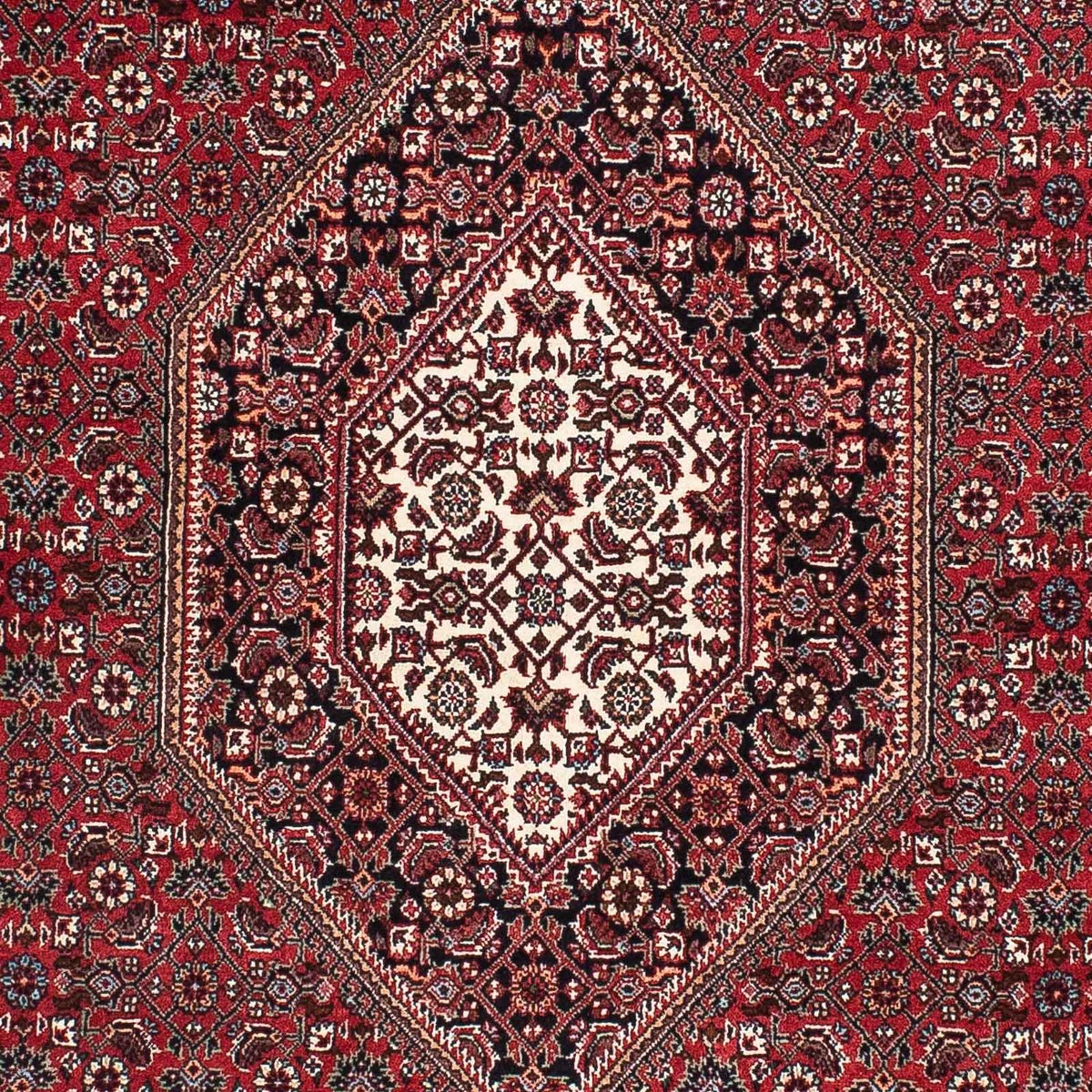 Tapis persan - Bidjar - 173 x 106 cm - rouge