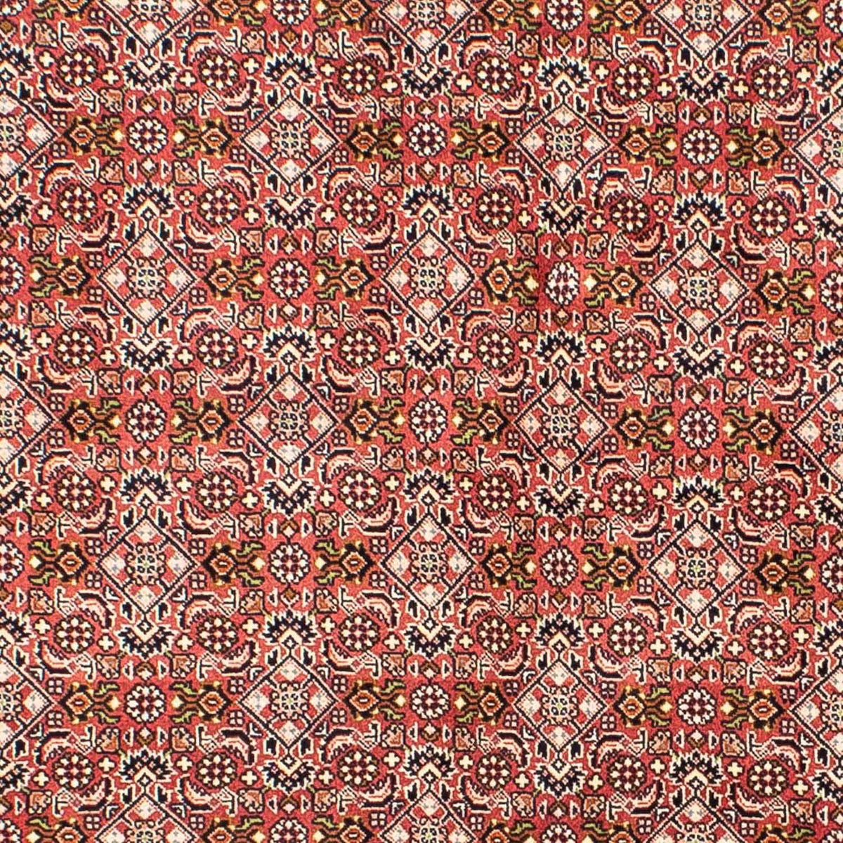 Tapis persan - Bidjar - 215 x 136 cm - rouge clair