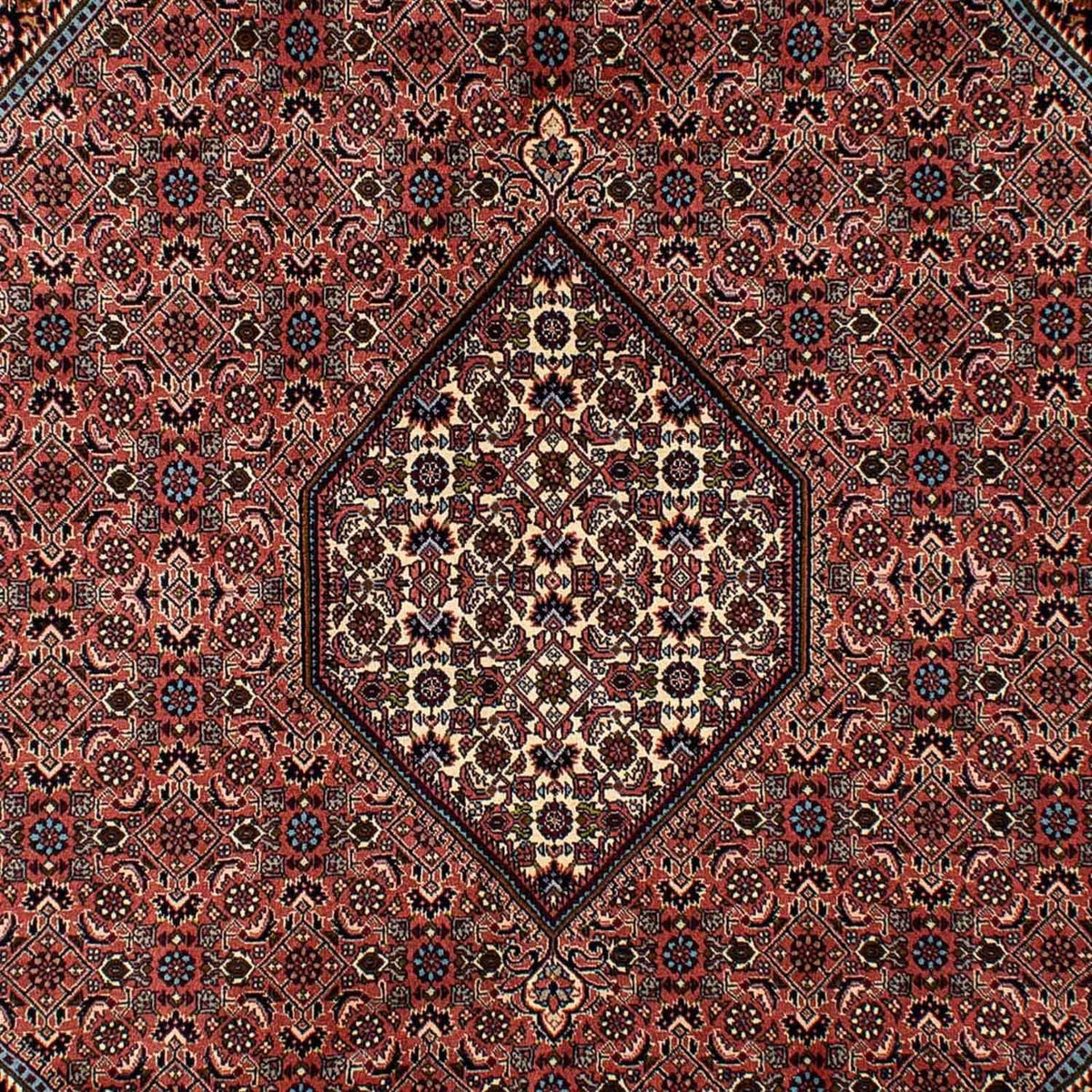 Tapis persan - Bidjar - 296 x 201 cm - marron
