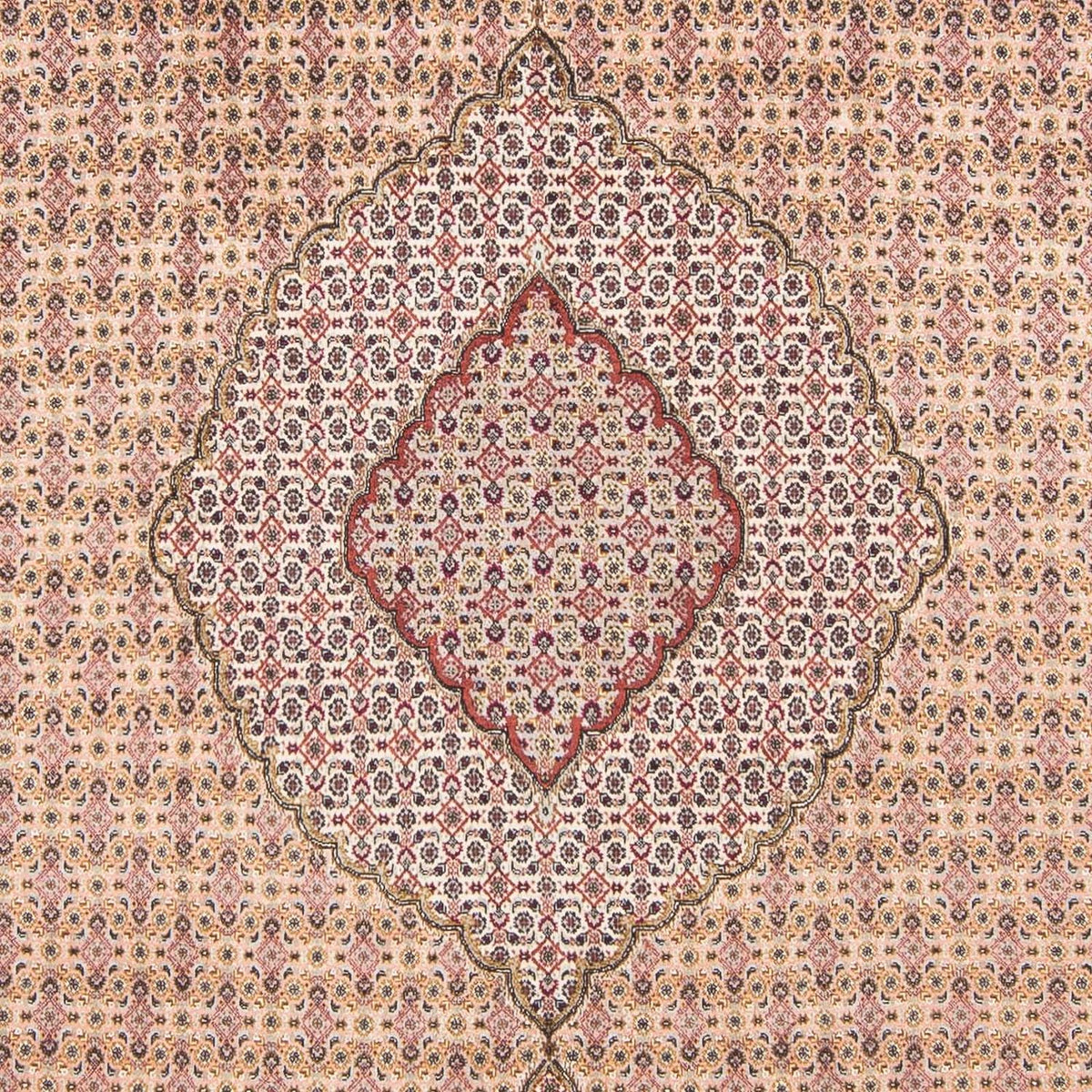 Tapis persan - Tabriz - 288 x 197 cm - marron clair