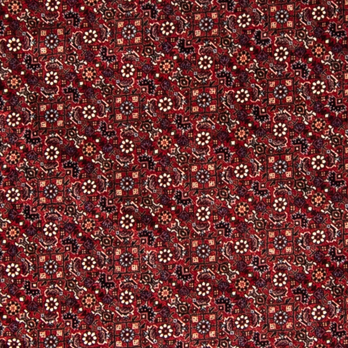 Tapis persan - Bidjar ronde  - 200 x 200 cm - rouge foncé