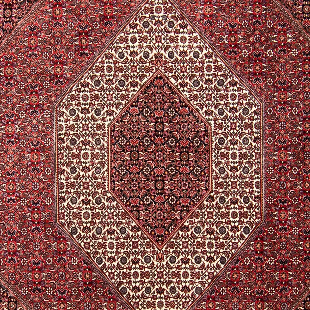 Tapis persan - Bidjar - 297 x 250 cm - rouge foncé