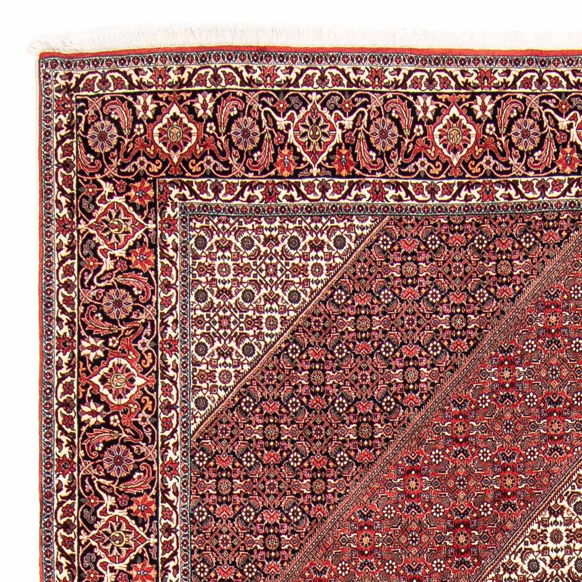 Tapis persan - Bidjar - 297 x 250 cm - rouge foncé