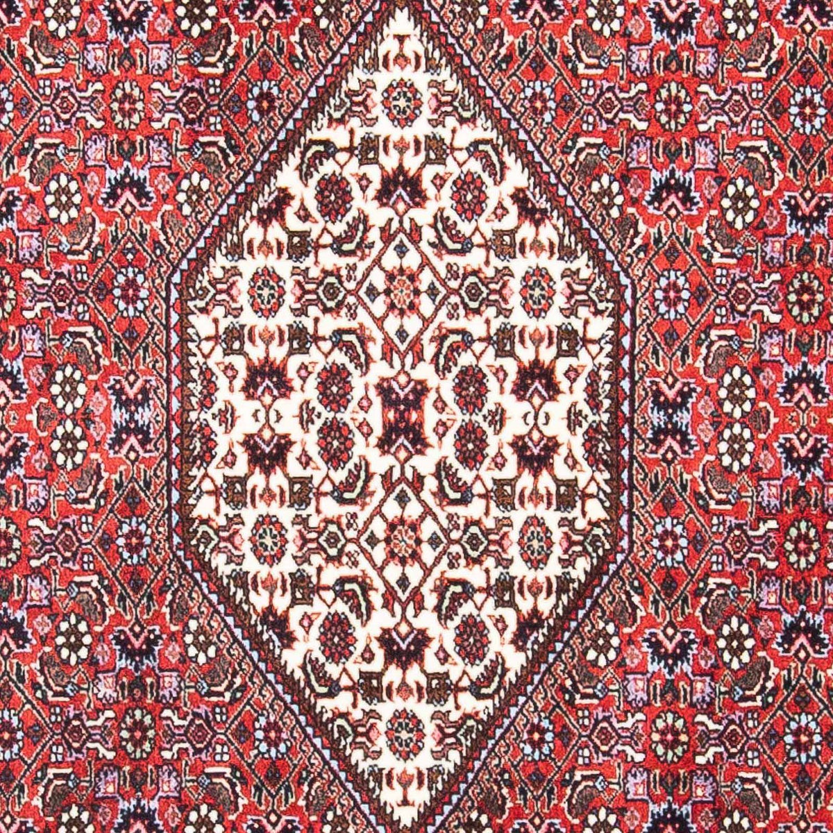 Tapis persan - Bidjar - 169 x 106 cm - rouge clair