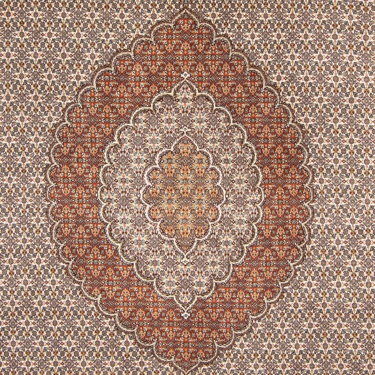 Tapis persan - Tabriz - 312 x 196 cm - marron clair