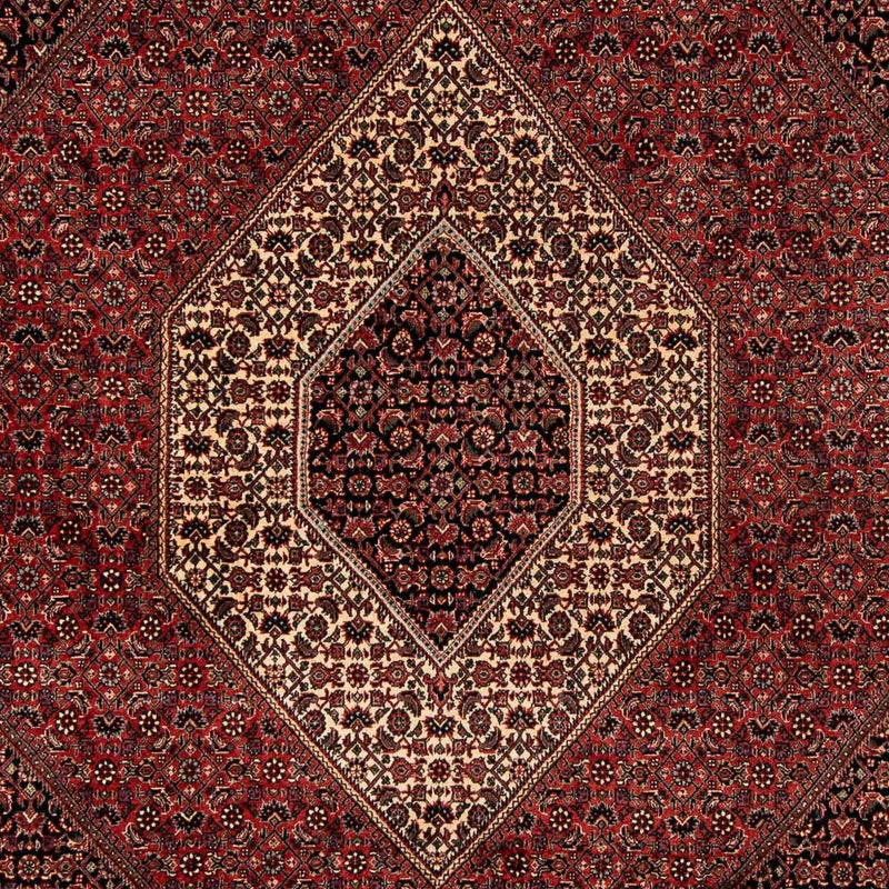 Tapis persan - Bidjar - 259 x 201 cm - rouge foncé