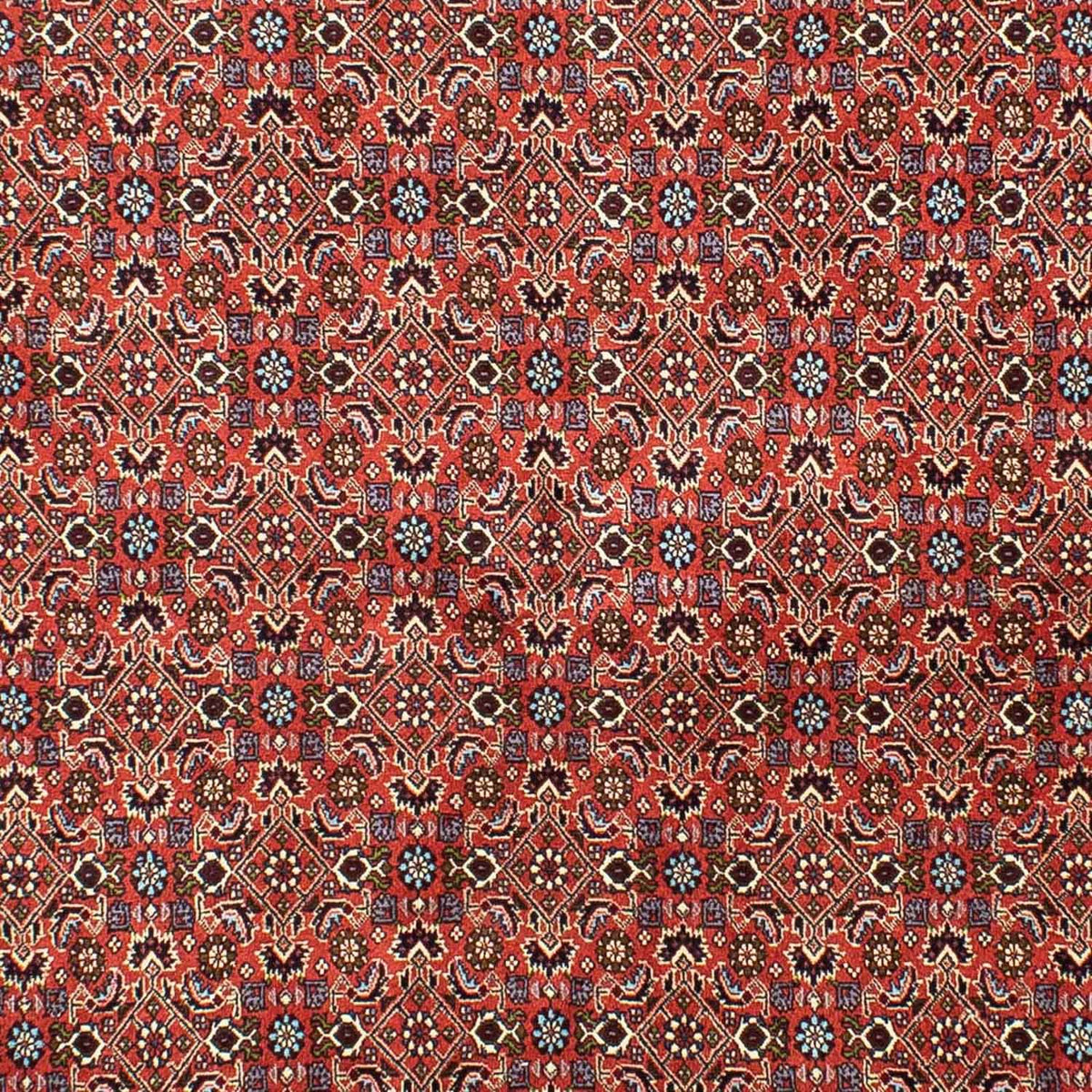 Tapis persan - Bidjar - 288 x 202 cm - rouge clair