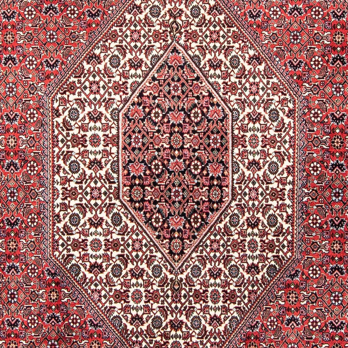 Tapis persan - Bidjar - 250 x 168 cm - rouge clair