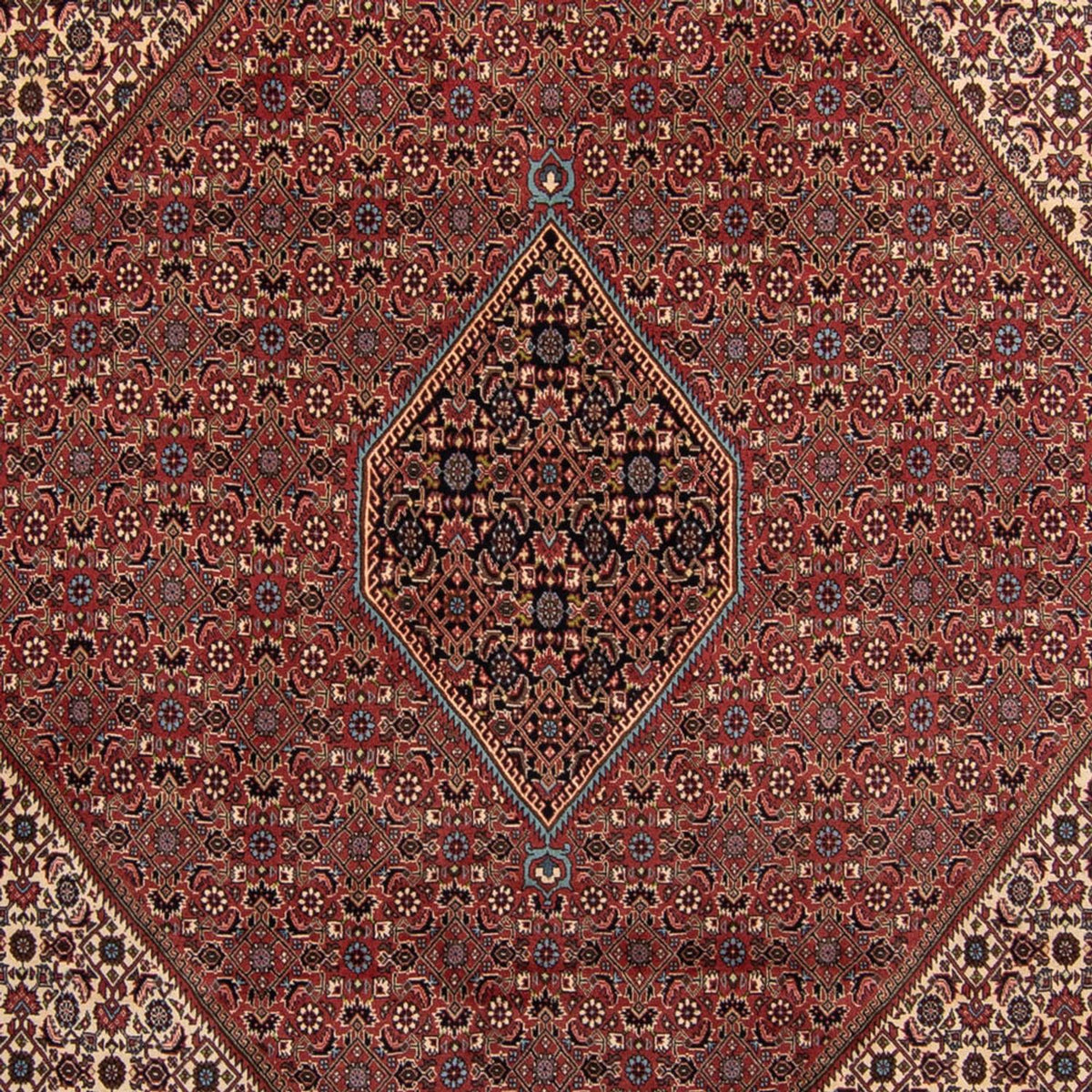 Tapis persan - Bidjar - 350 x 248 cm - marron