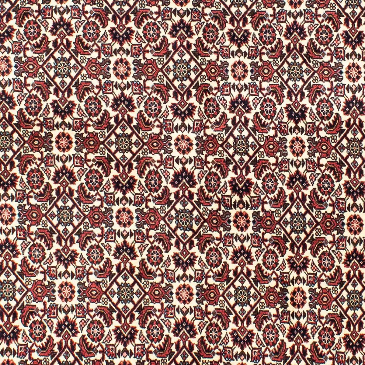 Tapis persan - Bidjar - 202 x 145 cm - beige