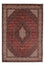 Tapis persan - Bidjar - 232 x 168 cm - rouge foncé