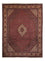 Tapis persan - Bidjar - 338 x 250 cm - marron