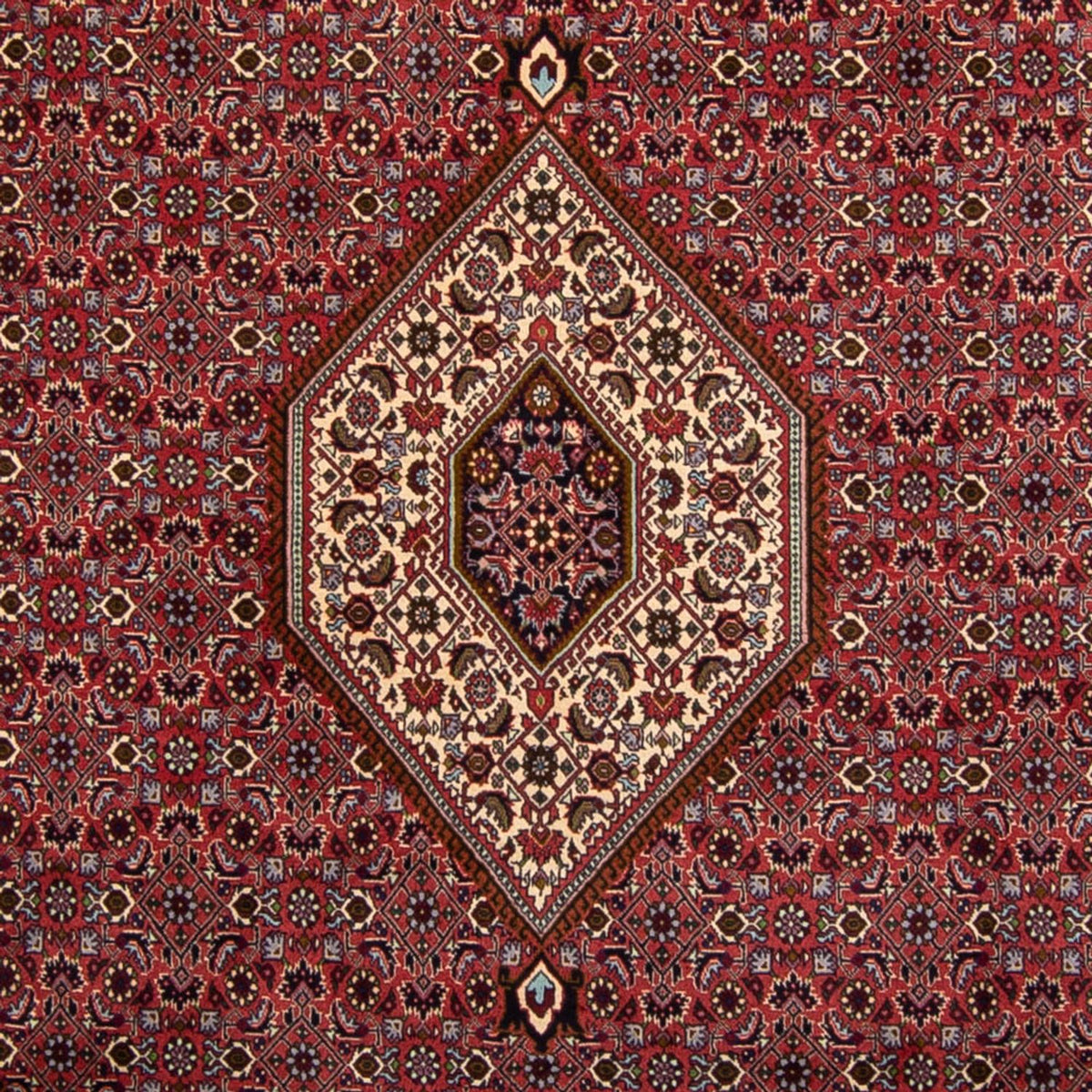 Tapis persan - Bidjar - 338 x 250 cm - marron