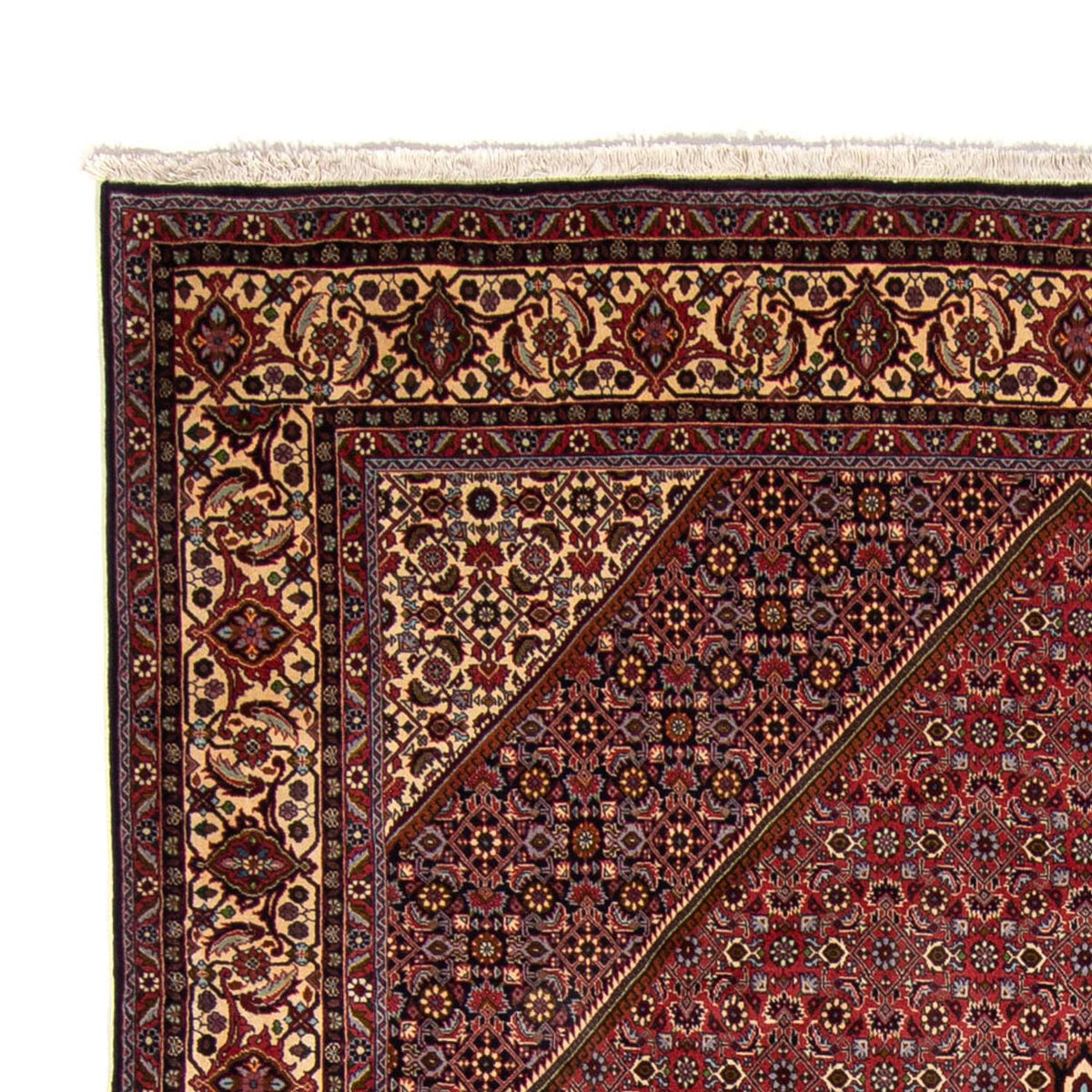 Tapis persan - Bidjar - 338 x 250 cm - marron